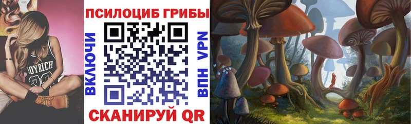 где найти наркотики  Староминская  Псилоцибиновые грибы Magic Shrooms 
